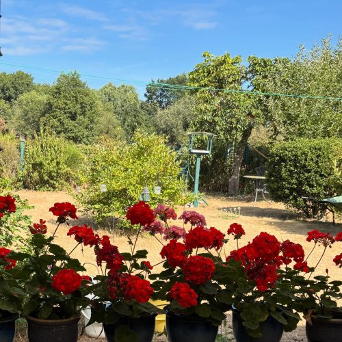 Photo post from gardenhousebrighton.