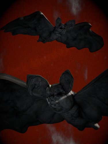 Photo post from jackmontoyastudio.