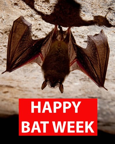 Photo post from enviroaction.