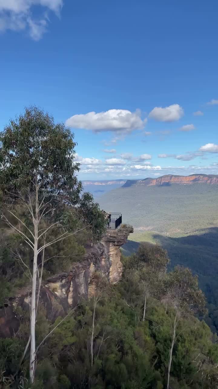 Video post from hayleyangell.