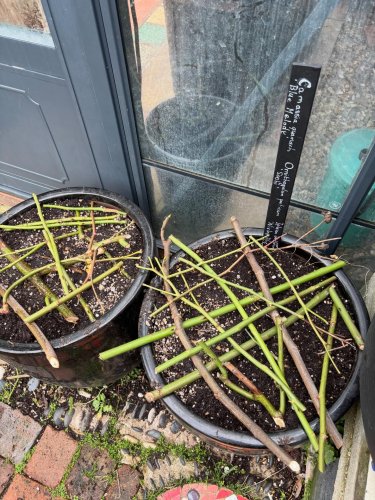 Carousel post from gardenhousebrighton.