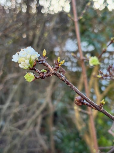 Photo post from gardenhousebrighton.