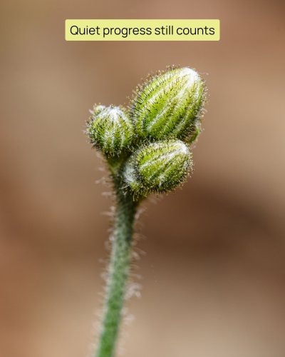 Photo post from kerafactor.