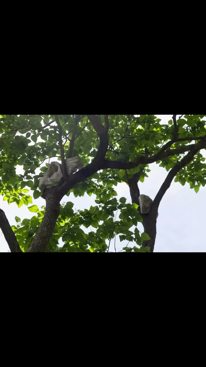 Video post from artscopemagazine.