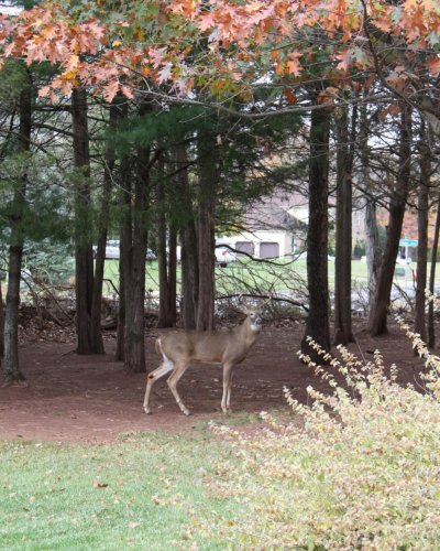 Photo post from mireade2025.