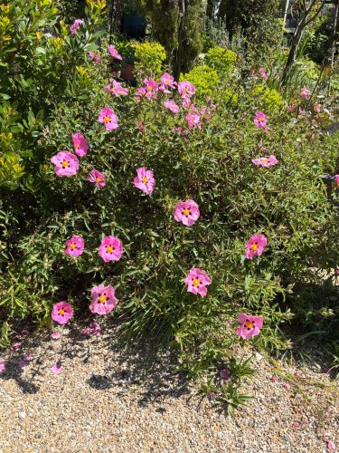Photo post from gardenhousebrighton.