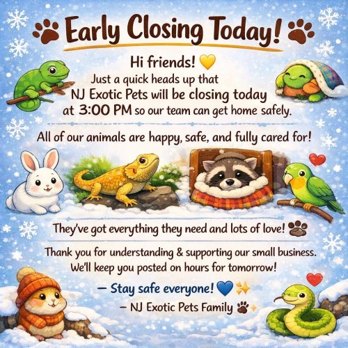 Photo post from njexoticpets.