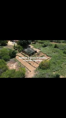 Video post from institutoluss.