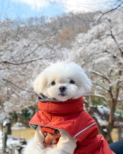 Carousel post from hurttakorea.