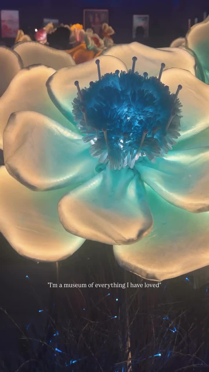 Video post from imahimaagarwal.