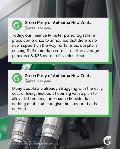 Carousel post from nzgreenparty.