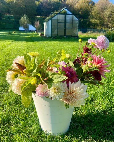 Photo post from kamzajtra.