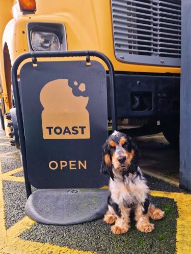 Carousel post from toast_flyford.