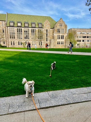 Photo post from bostoncollege.