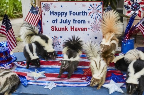 Photo post from njexoticpets.