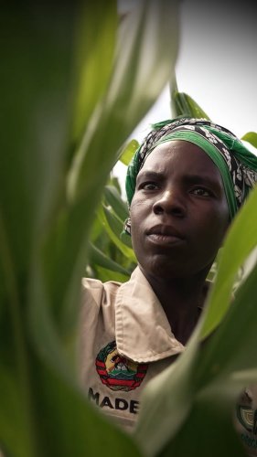 Video post from unops_official.