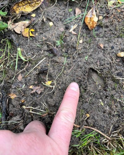 Photo post from grow_naturally_norfolk.