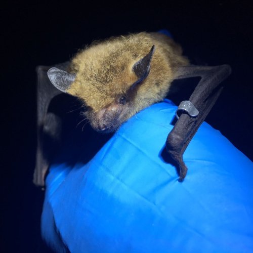 Photo post from mssciencemuseum.