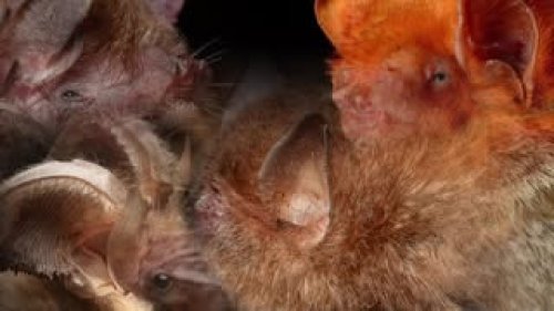 Video post from murcisemana_oficial.