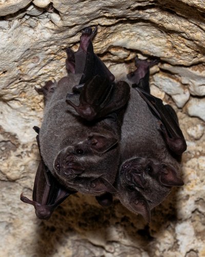 Photo post from biopostales.