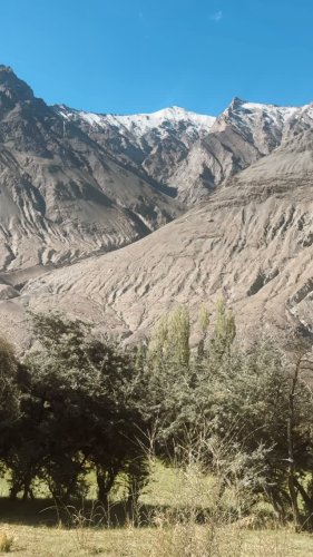 Video post from imahimaagarwal.