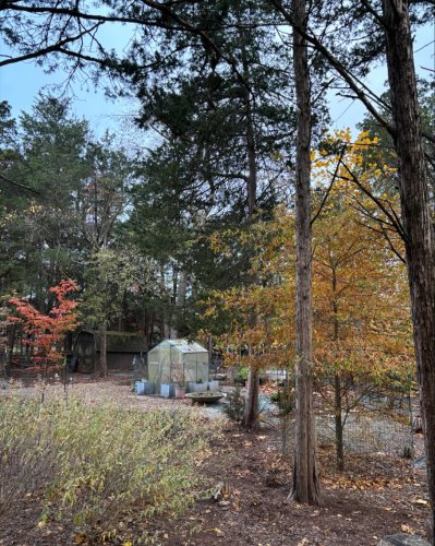 Photo post from mireade2025.