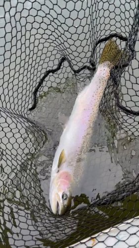 Video post from confluenceoutfitters.