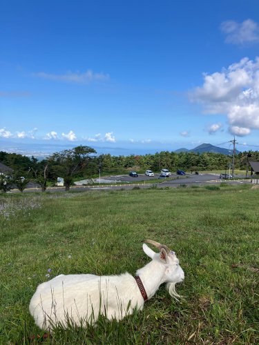 Carousel post from masumizutenkuu.