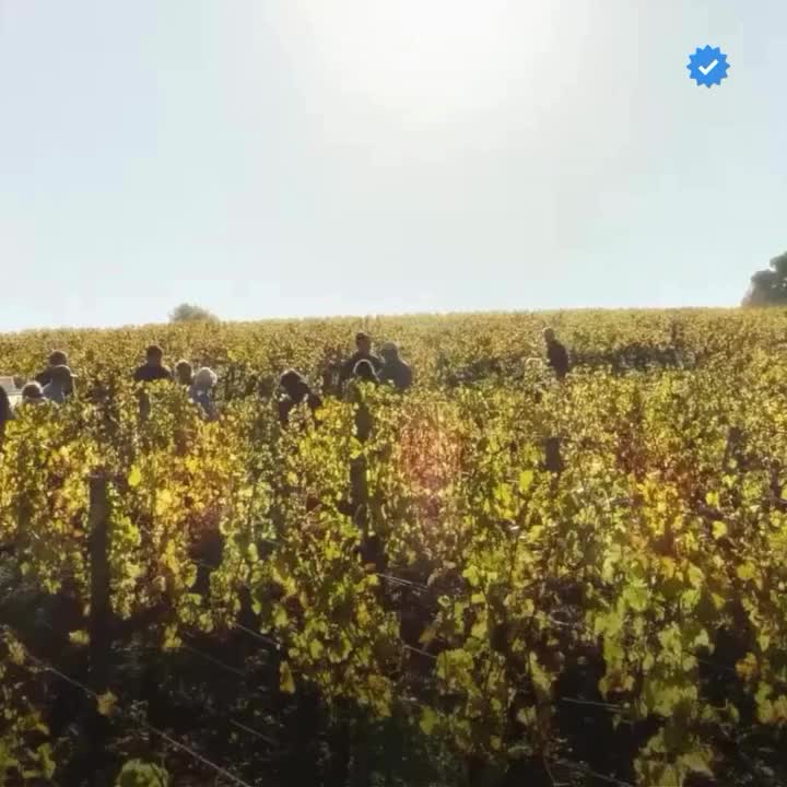 Video post from clubdvin.