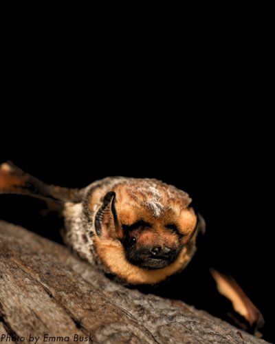 Carousel post from nwbathub.