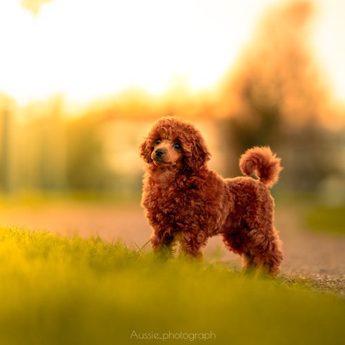 Carousel post from palmaleos.