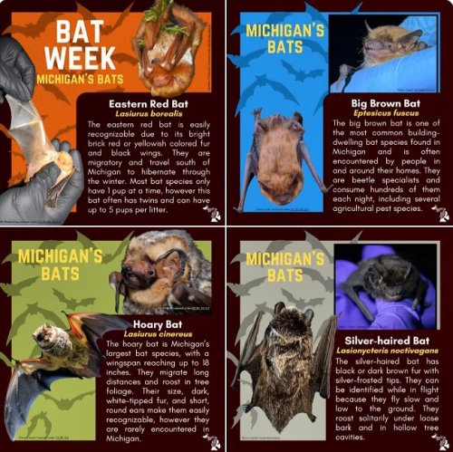 Photo post from charlessbridge.