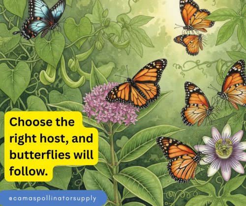 Photo post from camaspollinatorsupply.