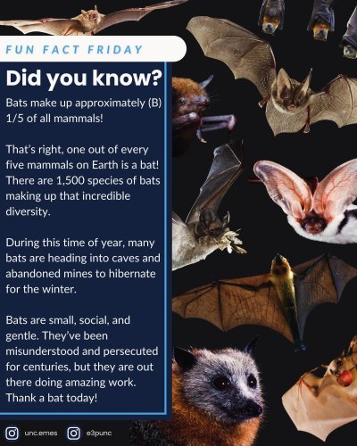 Photo post from e3punc.