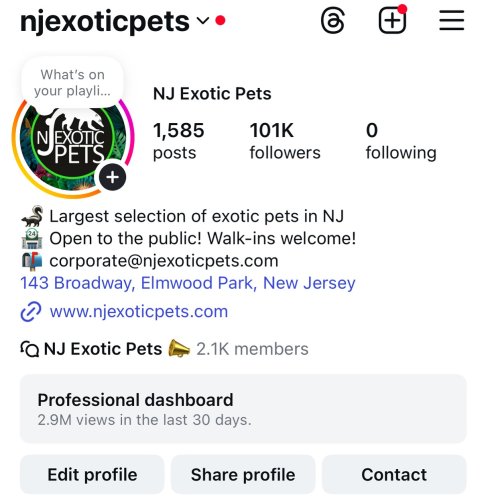 Photo post from njexoticpets.