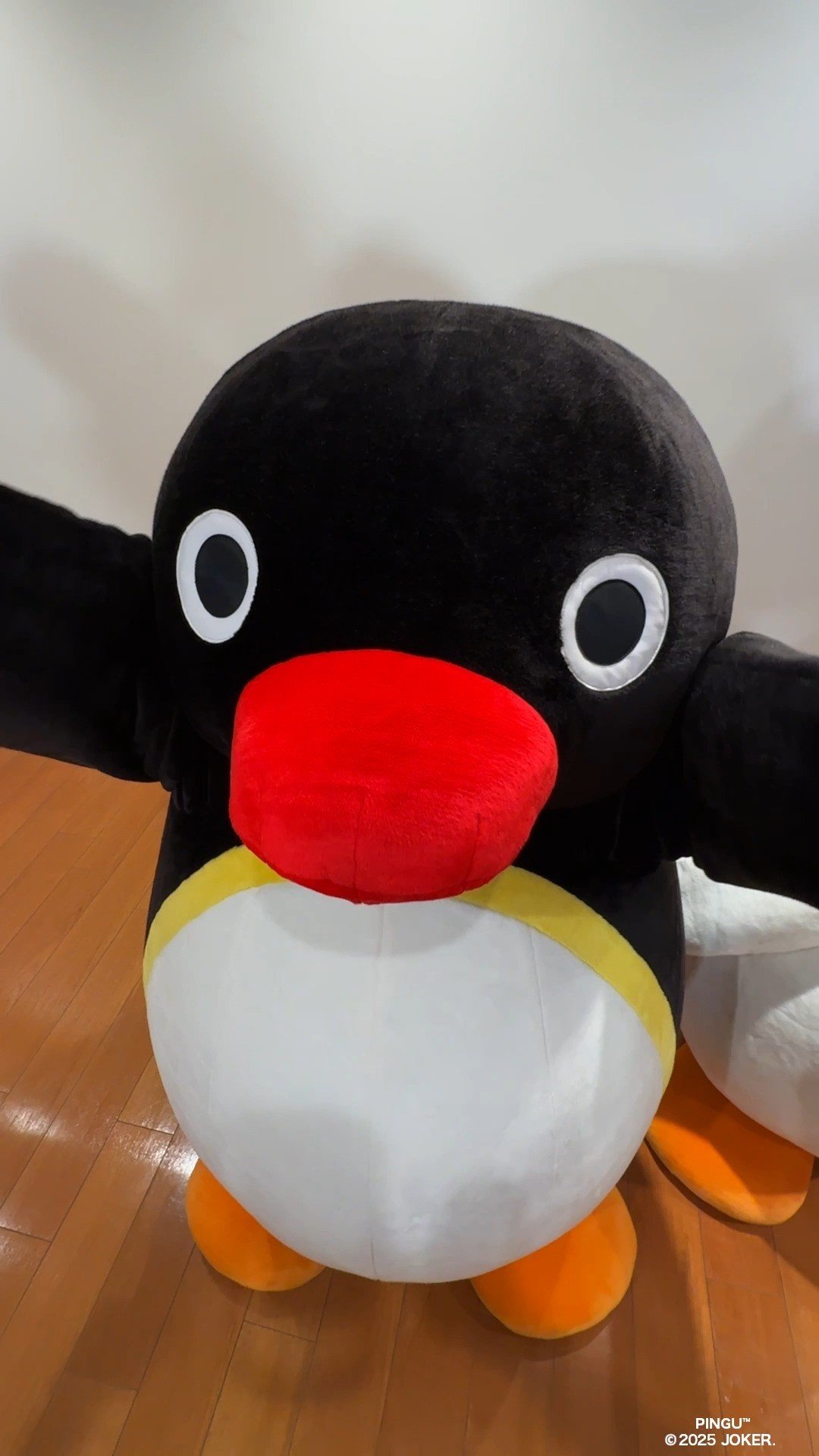 Video post from pingu_jp.