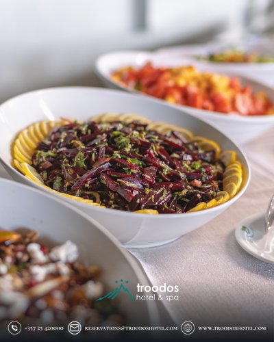 Photo post from troodoshotel.
