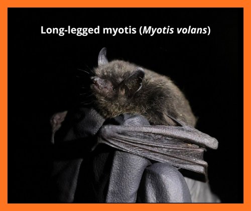 Photo post from columbiasprings.