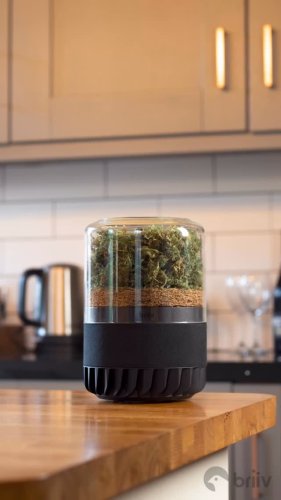 Video post from briiv.natural.