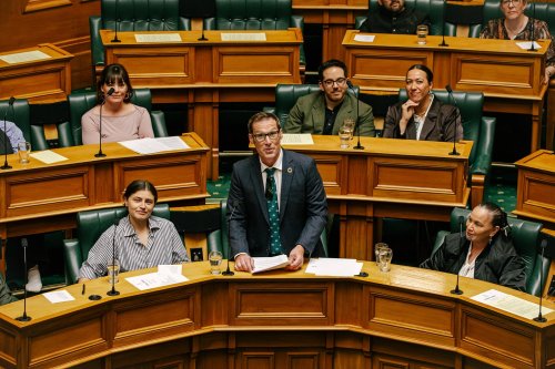 Carousel post from nzgreenparty.