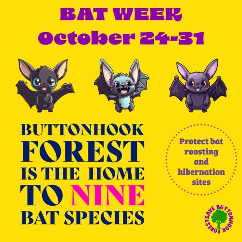 Photo post from savebuttonhook.