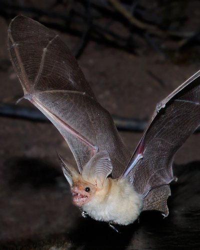 Carousel post from mprpd_lgo.