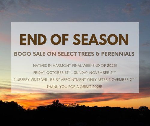 Photo post from nativesinharmony.