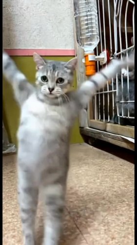 Video post.