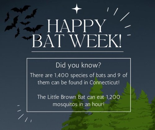 Photo post from newpondfarm.