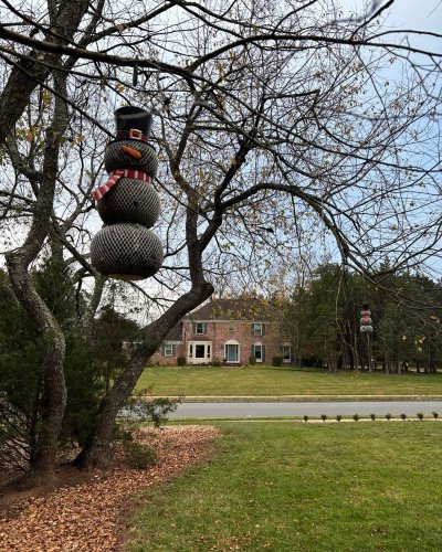 Photo post from mireade2025.