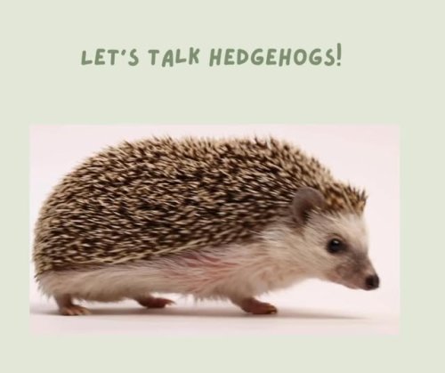 Video post from tuckers_country_stores.