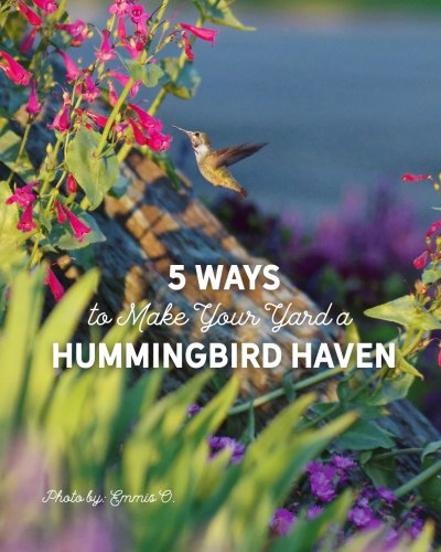 Carousel post from hcgplants.