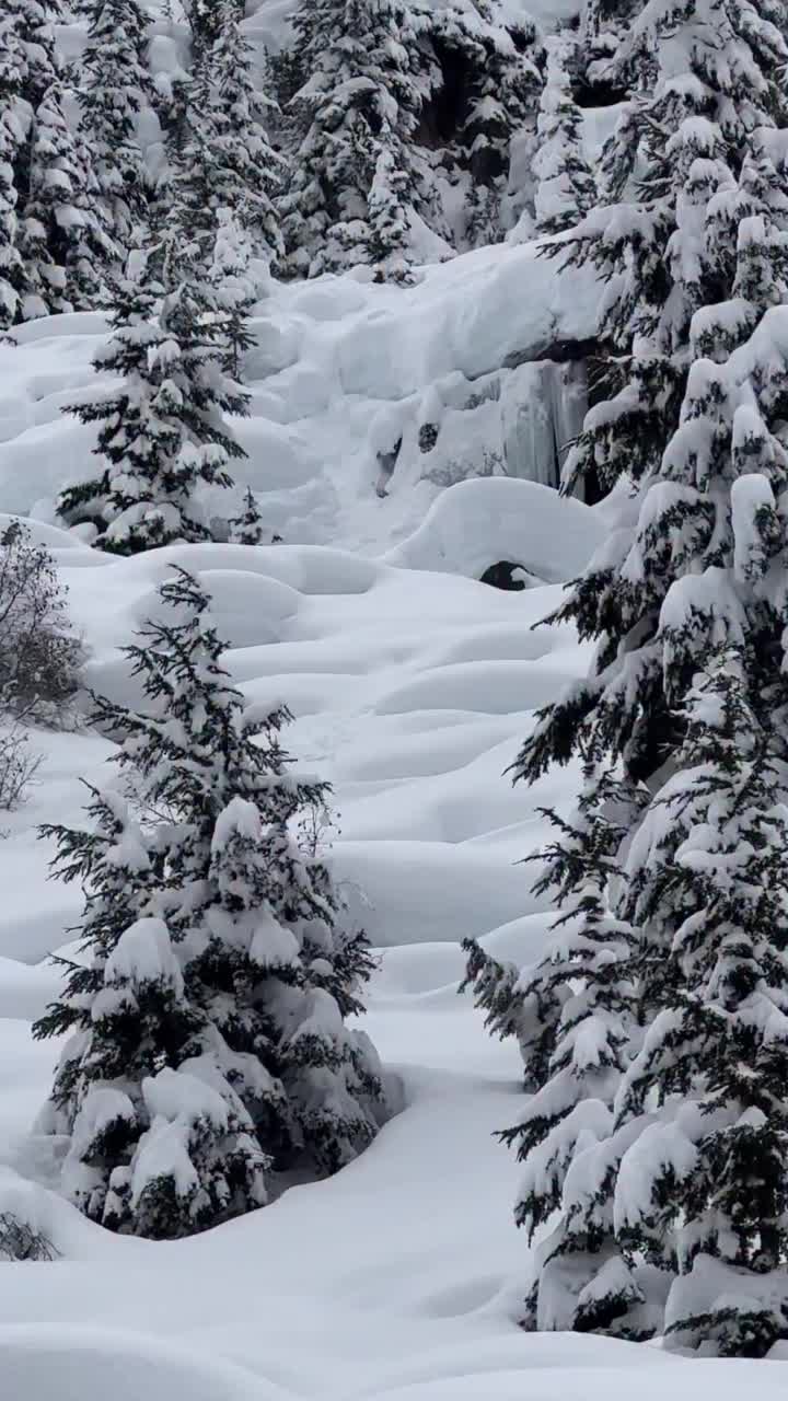 Video post from gnusnowboards.