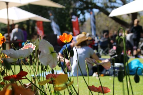 Photo post from alburycity.